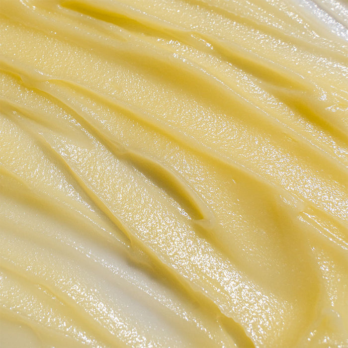 Ancestral Cosmetics Tallow Unscented Body Cream