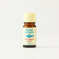 Atlantic Aromatics Organic Clove Bud Oil