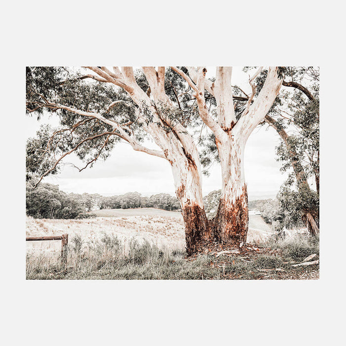 Australian Hills