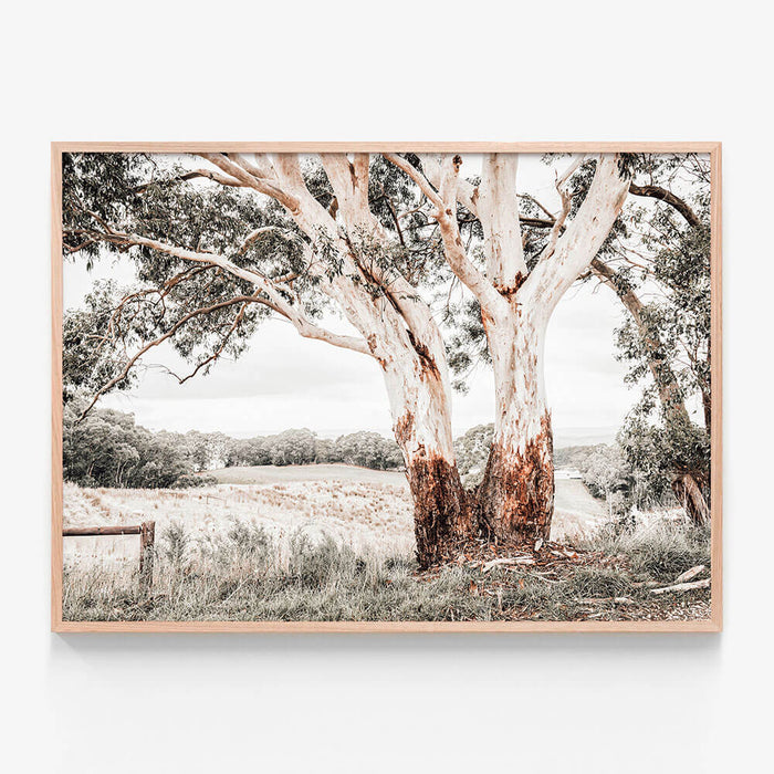 Australian Hills