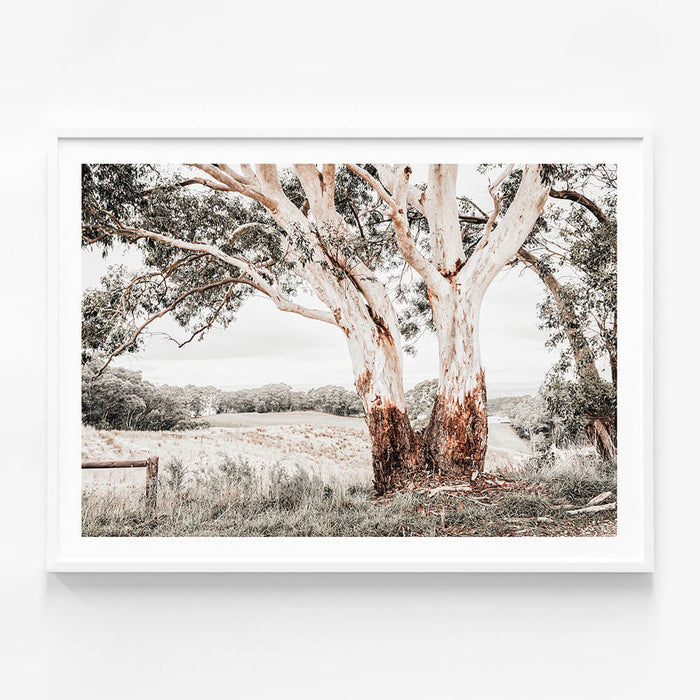 Australian Hills