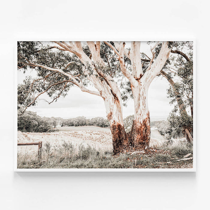 Australian Hills