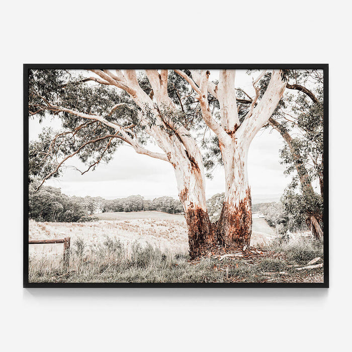 Australian Hills