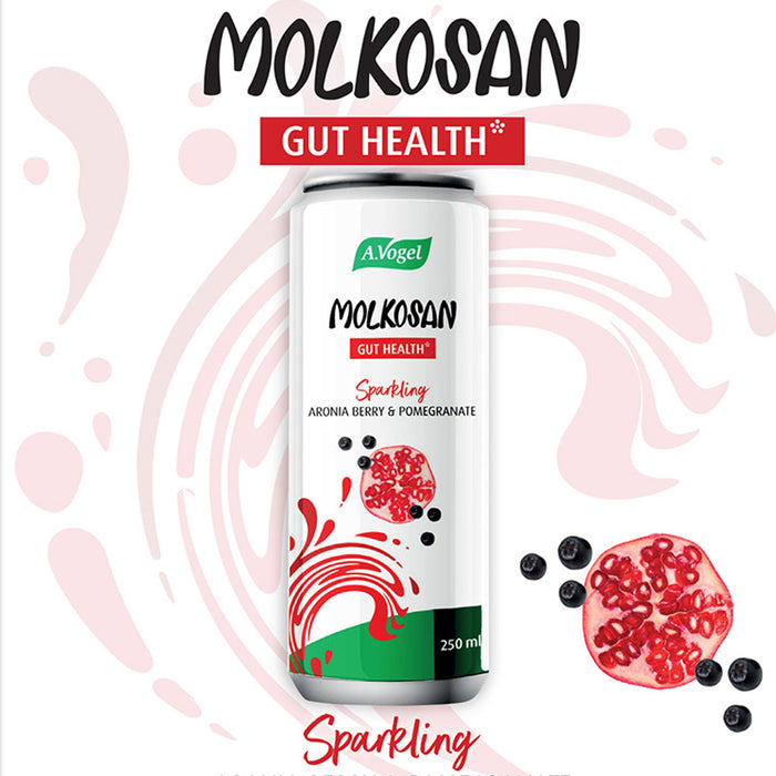 Molkosan Gut Health drink can with branding and product details on a white background