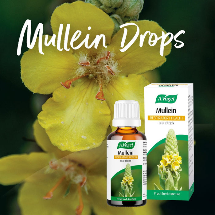A.Vogel Mullein Respiratory Health