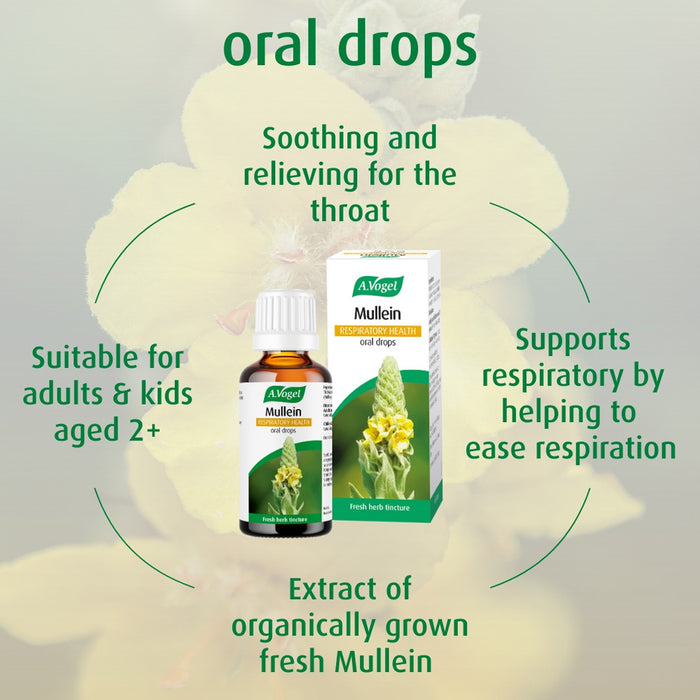 A.Vogel Mullein Respiratory Health