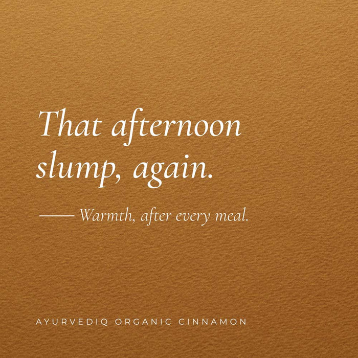 A square product graphic with a warm brown textured background and white text reading, 'That afternoon slump, again. - Warmth, after every meal.