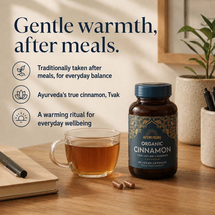 Ayurvedic Organic Cinnamon supplement capsules