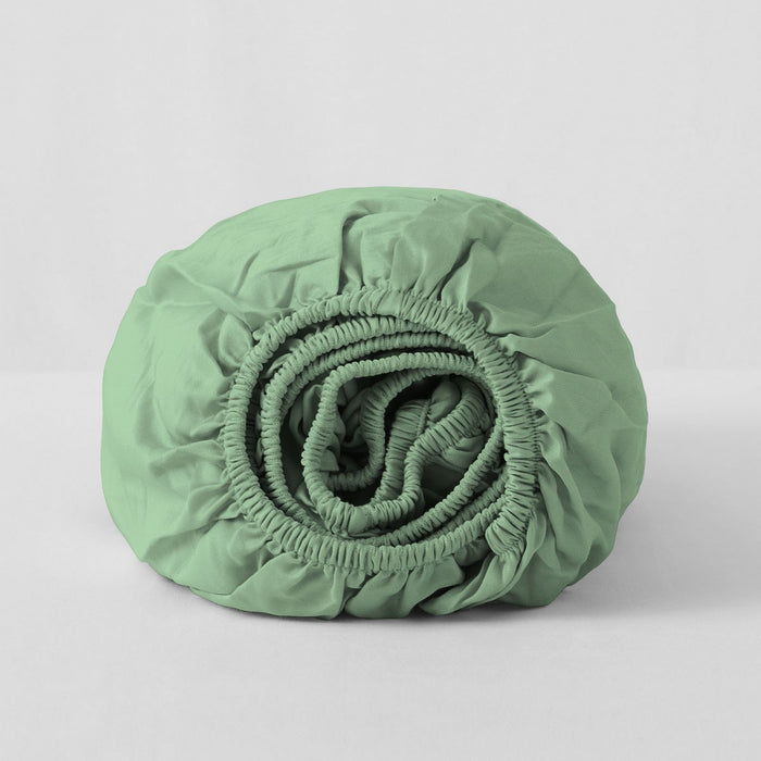 BAJERA_ALBAHACA_50-50_ROLLO