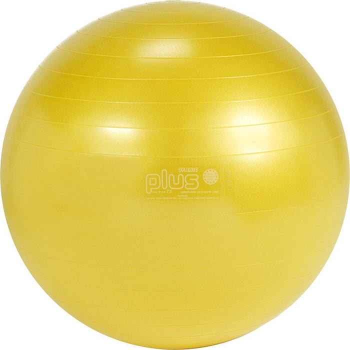 Ballon d'exercices