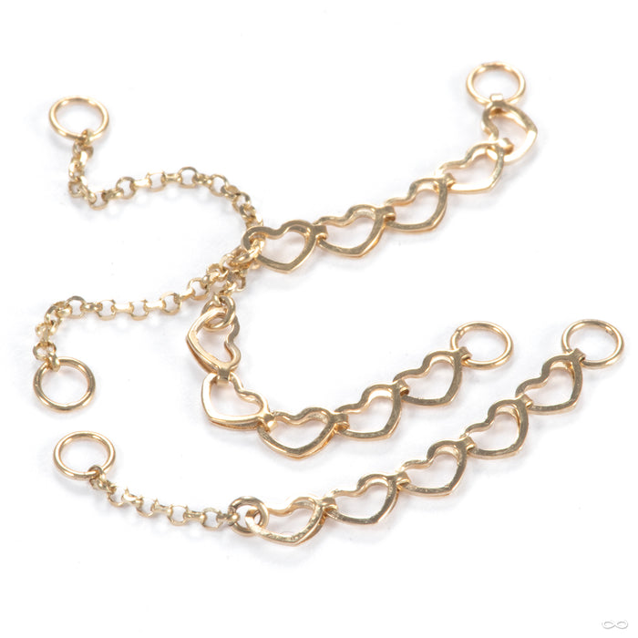 Barracuda Chain in Gold from Hialeah in assorted lengths