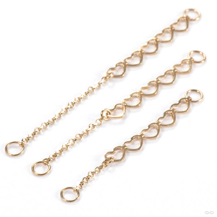 Barracuda Chain in Gold from Hialeah sizing detail