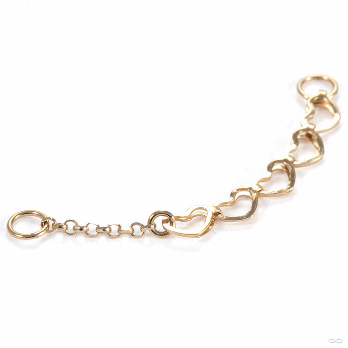 Barracuda Chain in 14k Yellow Gold from Hialeah