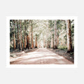 Bush Road wall art print