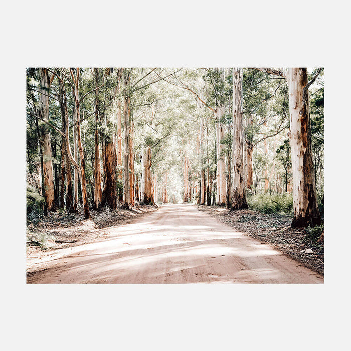 Bush Road