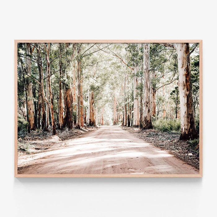 Bush Road