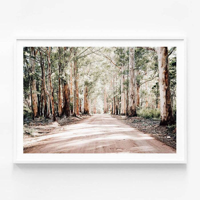 Bush Road