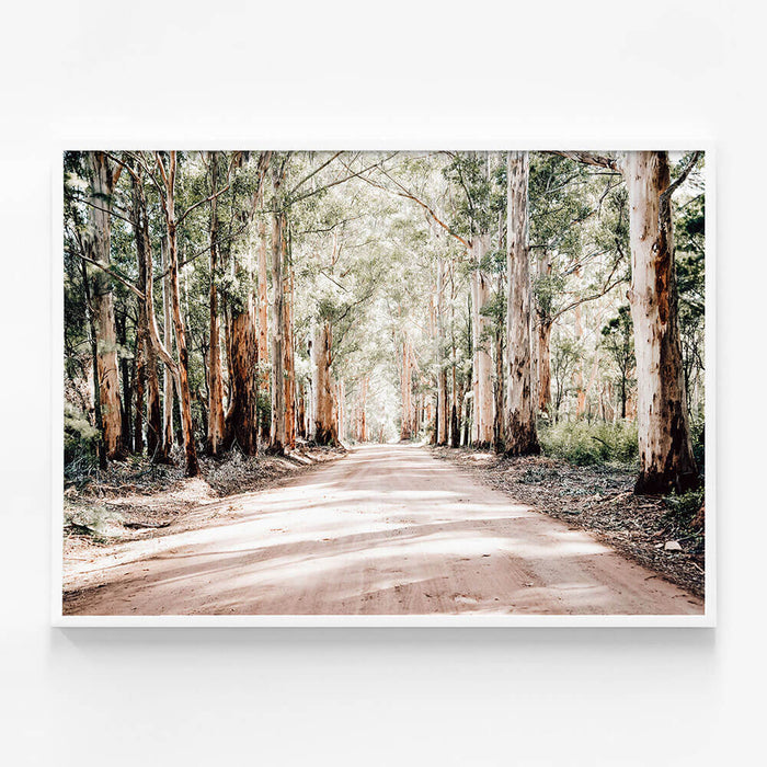 Bush Road
