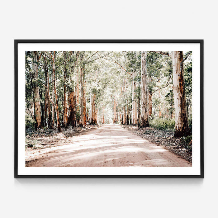 Bush Road