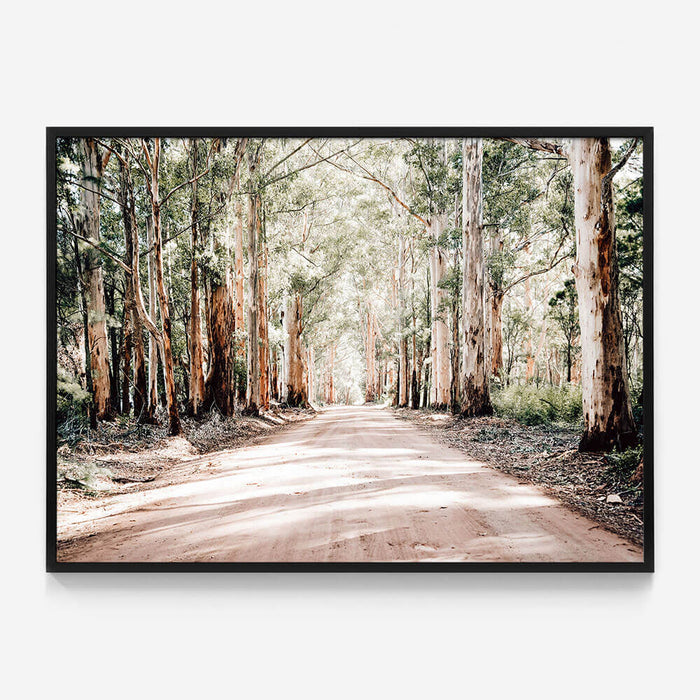 Bush Road