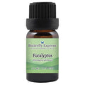 Butterfly Express Eucalyptus Globulus Essential Oil