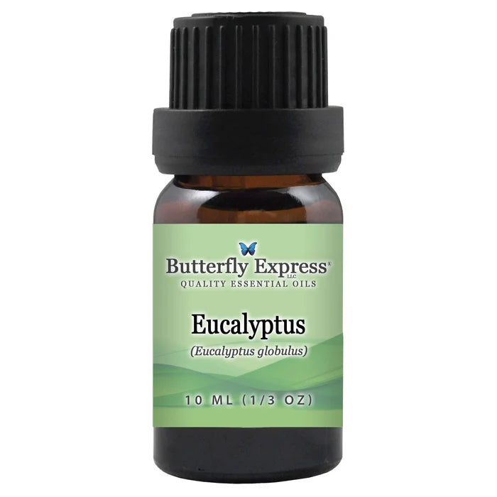 Butterfly Express Eucalyptus Globulus Essential Oil
