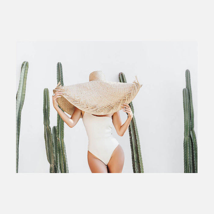 Cacti Shade