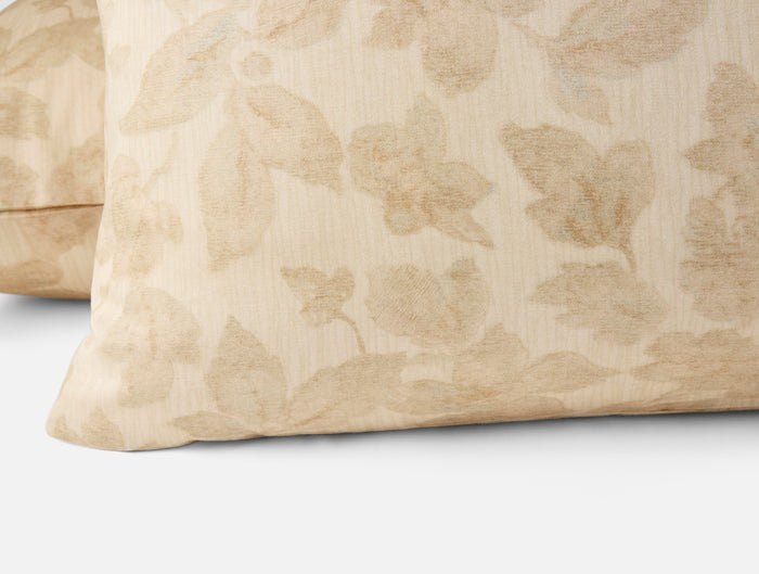 Camellia Organic Print Sham - Coyuchi | Amber