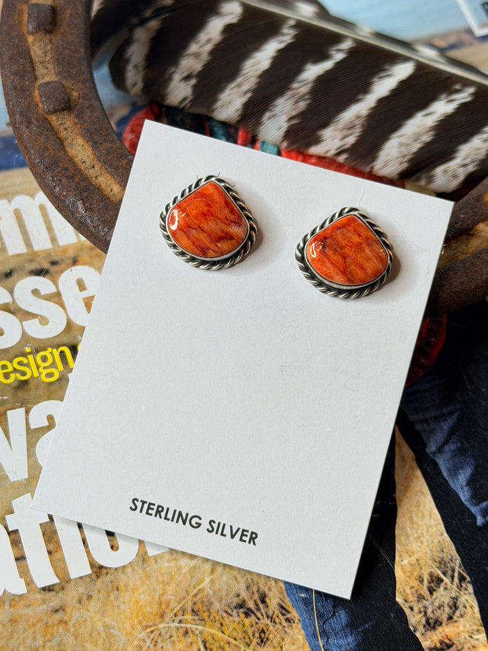 Chassity Belone Spiny Earrings