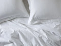 Cloud Brushed™ Organic Flannel Sham | Alpine White