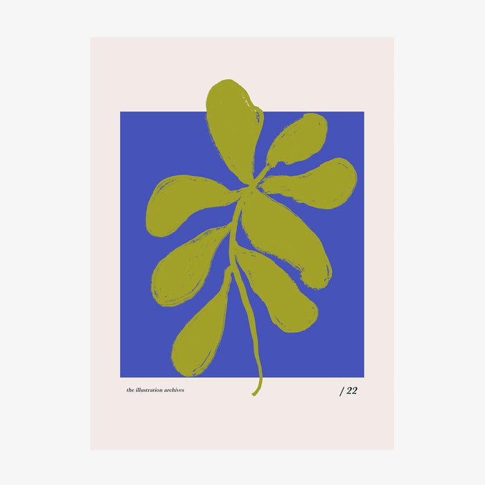 Coral Study No. 4