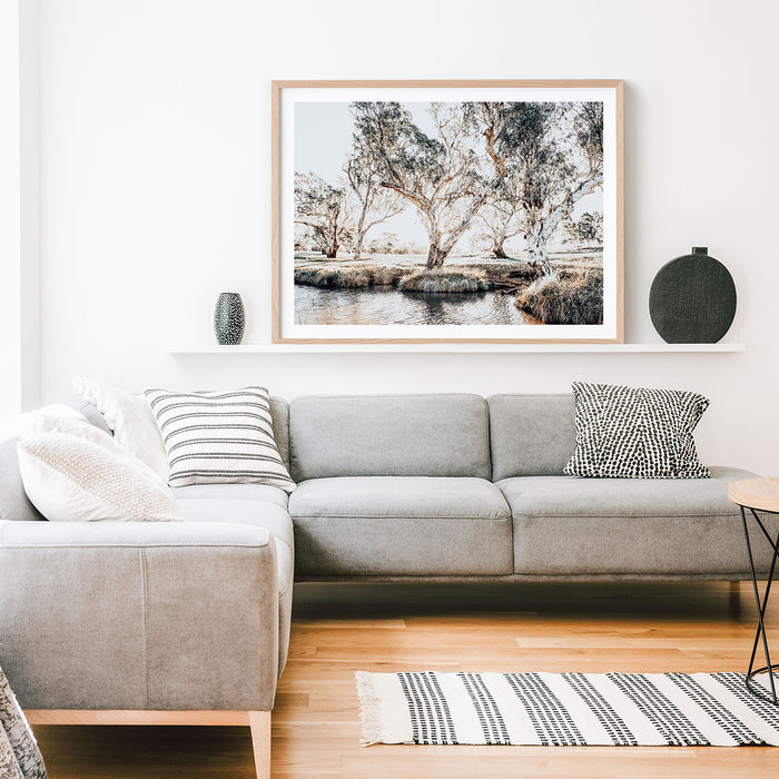 Creekside Gum Trees