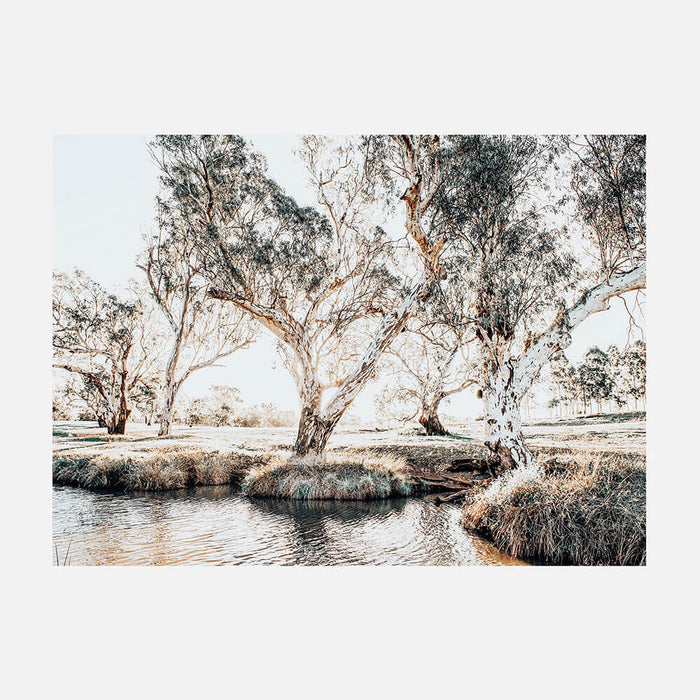 A3 - 29.7 x 42 / Unframed / No