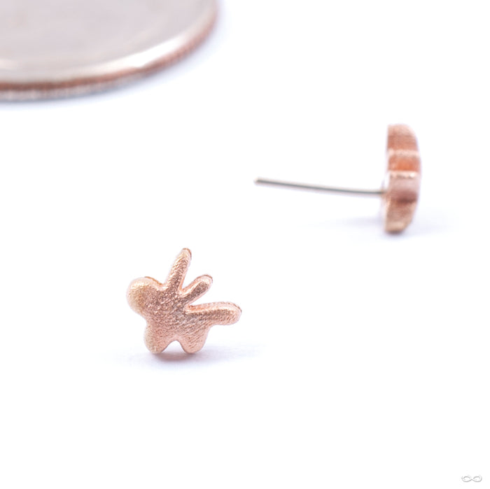 Dabble Press-fit End in Gold from Pupil Hall in rose gold