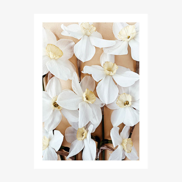 Daffodils wall art print