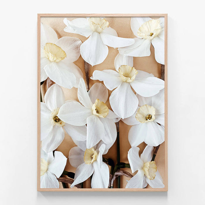 Daffodils