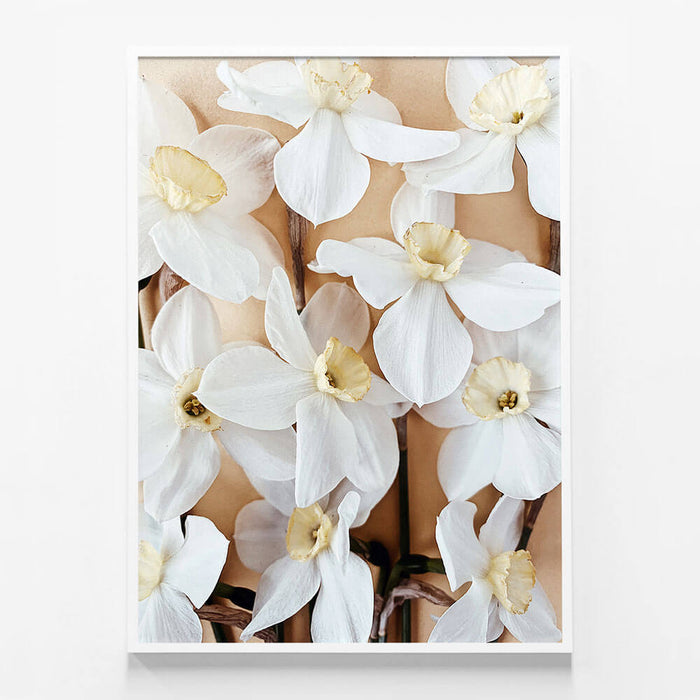 Daffodils