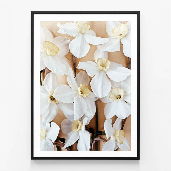 Daffodils