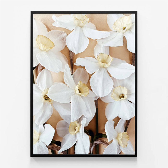 Daffodils