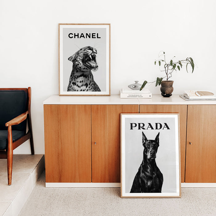 Prada Doberman