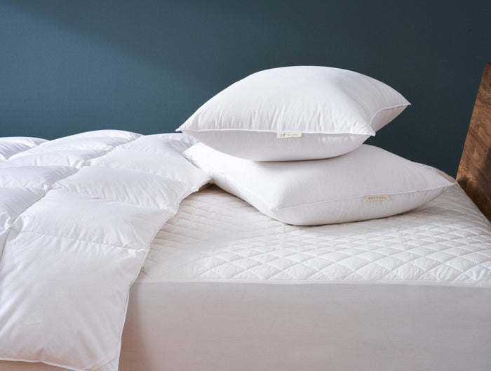 Down Pillow | White