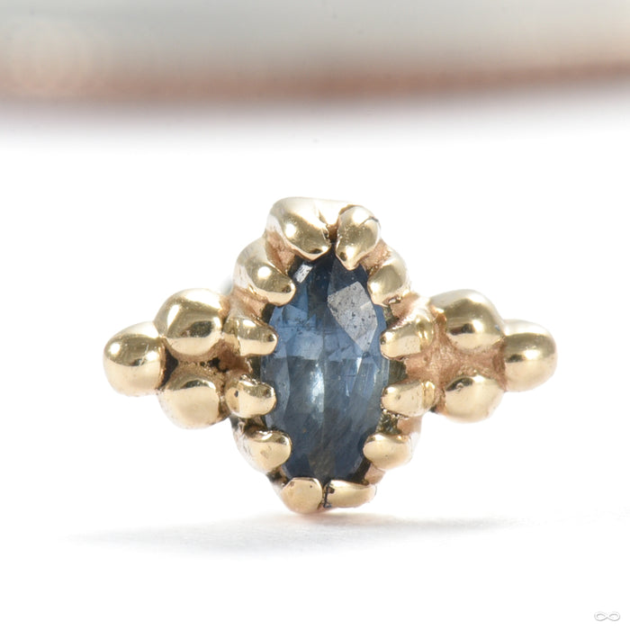 Equanimity Press-fit End in Gold from Sacred Symbols with blue sapphire