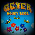 Geyer Pure Honey 32oz