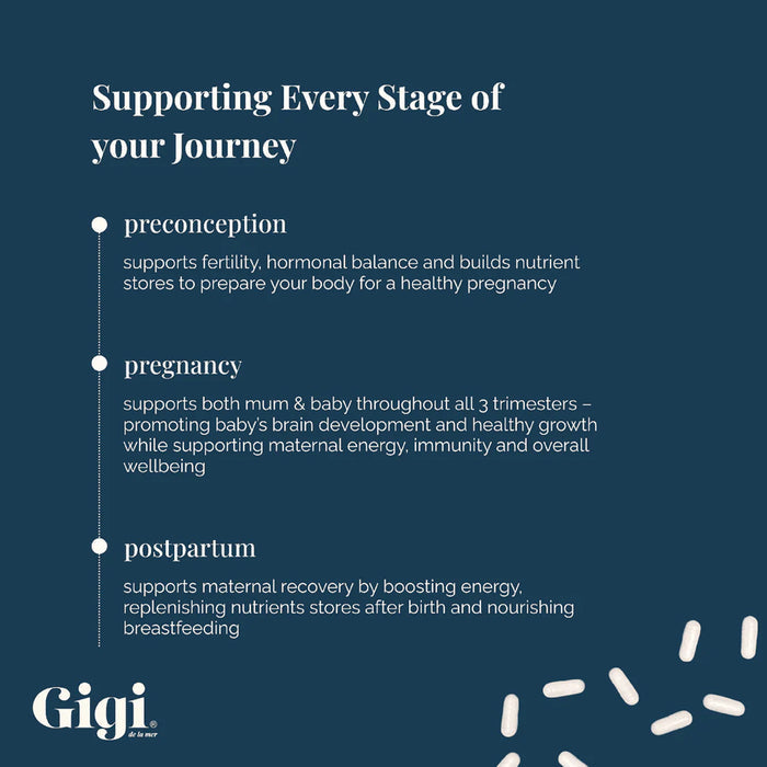 Gigi product description card detailing stages of support for a journey, with a blue background and white text.