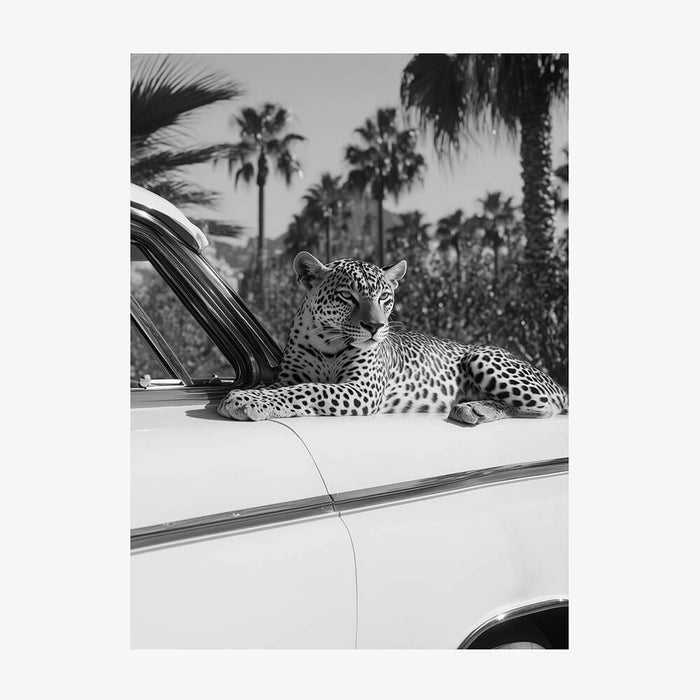 Hollywood Leopard