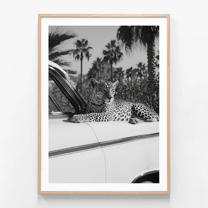 Hollywood Leopard