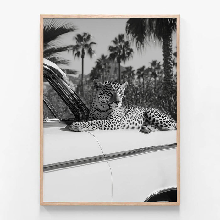 Hollywood Leopard