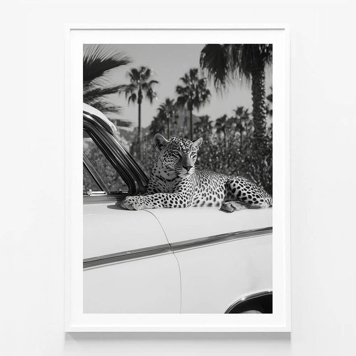 Hollywood Leopard