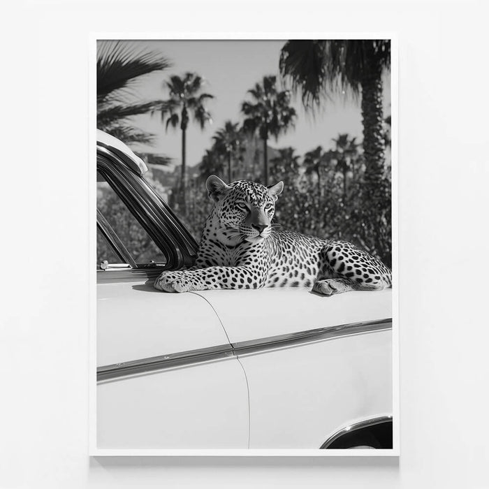 Hollywood Leopard