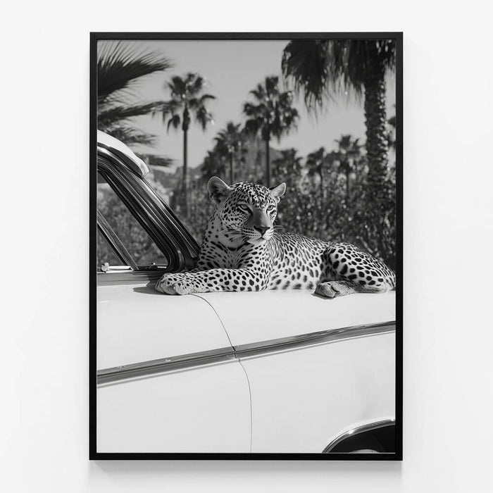Hollywood Leopard